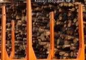 Коники, вариант 1